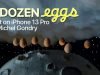 A Dozen Eggs