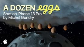 A Dozen Eggs